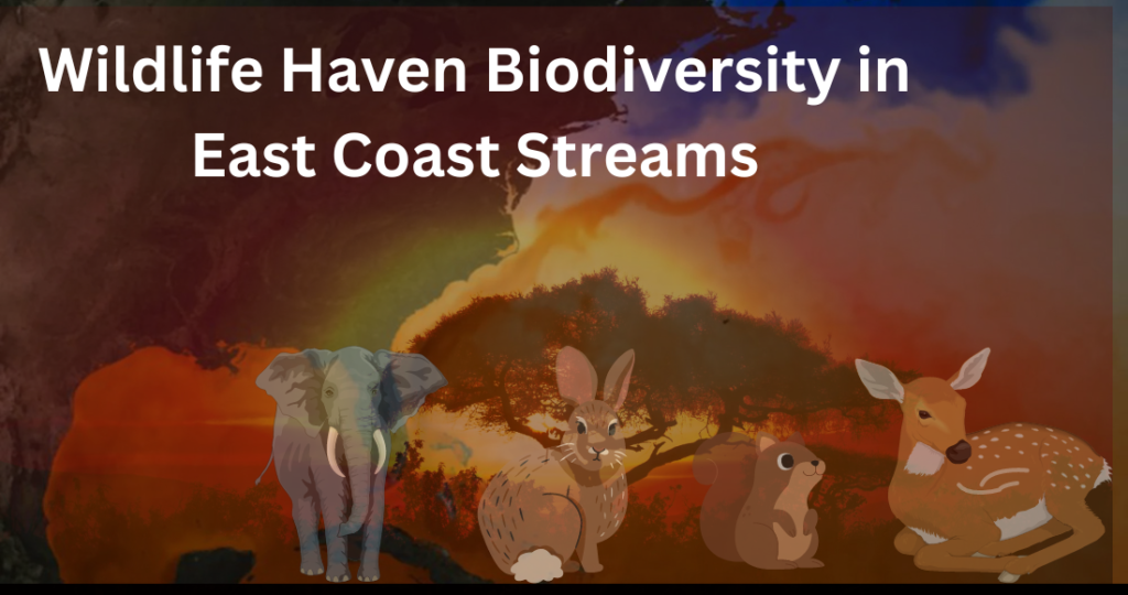 Wildlife Haven Biodiversity in East Coast Streams